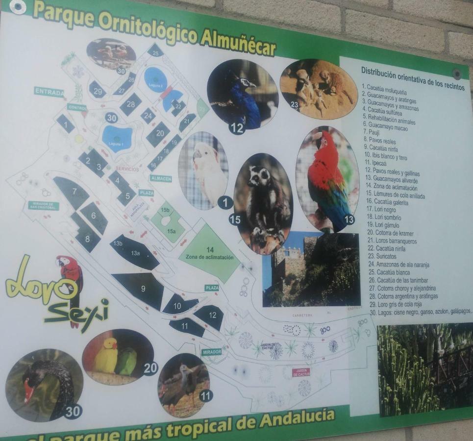 Bella Andalucía Appartamento Almuñécar Esterno foto